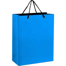Altitude Omega Midi Paper Gift Bag