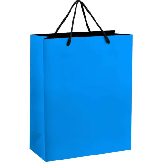 Altitude Omega Midi Paper Gift Bag