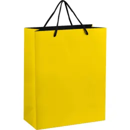 Altitude Omega Midi Paper Gift Bag