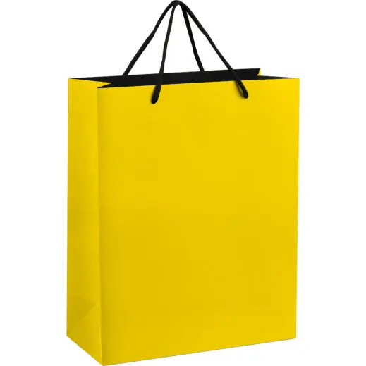 Altitude Omega Midi Paper Gift Bag