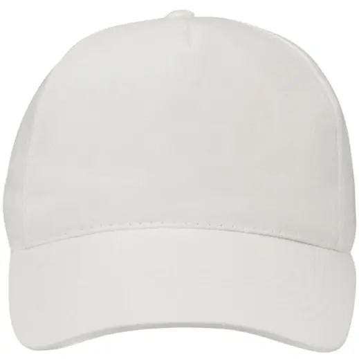 FWRD Superior 5 Panel Cap