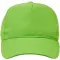 Image for Lime Green