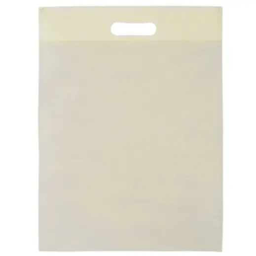 Budget Shopper Bag