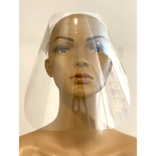 Budget Face Shield