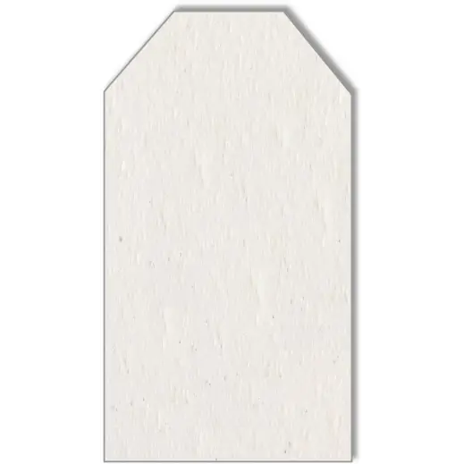 Plantable Paper Gift Tags - Trimmed Corner