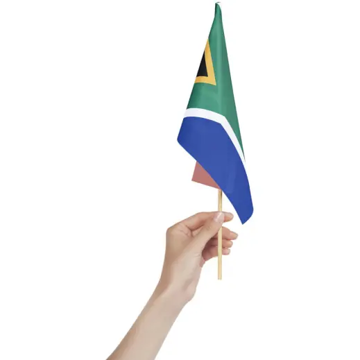 Champion Small Hand Flag - 30cm x 20cm