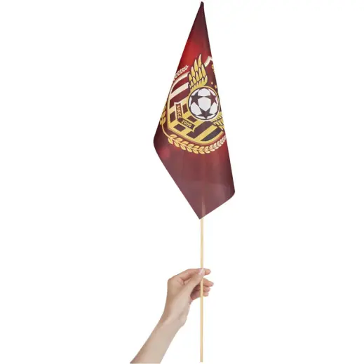 Champion Medium Hand Flag - 45cm x 30cm