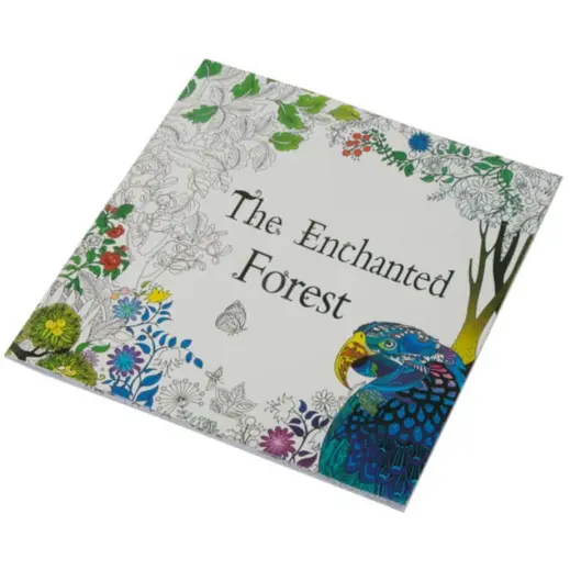Adult Colouring Book