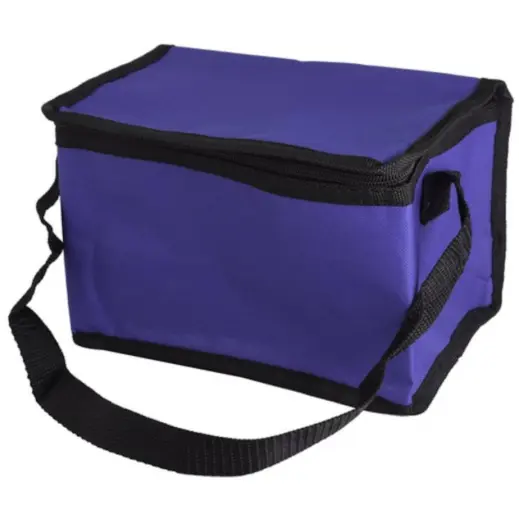 Oxford 6-Can Cooler