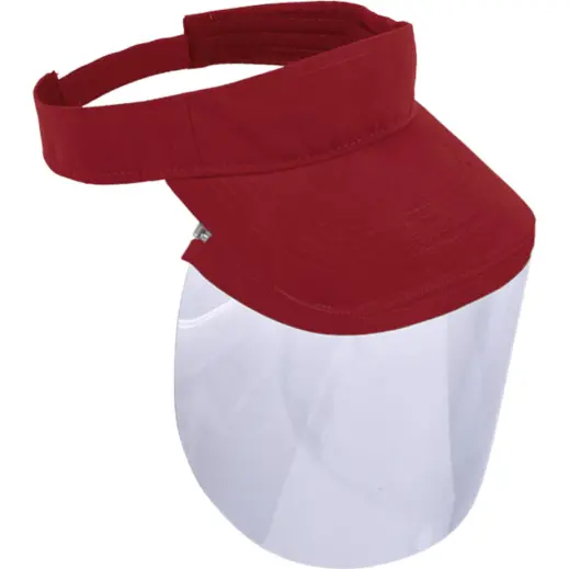 VIZIP Wing Visor