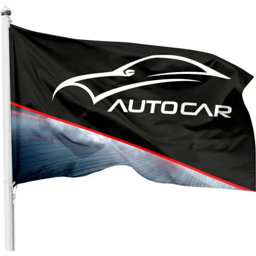 Champion Corporate Pole Flag - 900mm x 600mm