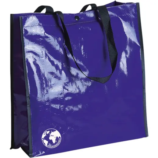 Recycle Bag