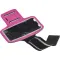 Image for Fuchsia