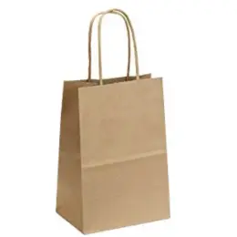 Eco Paper Gift Bag With Twist Handles