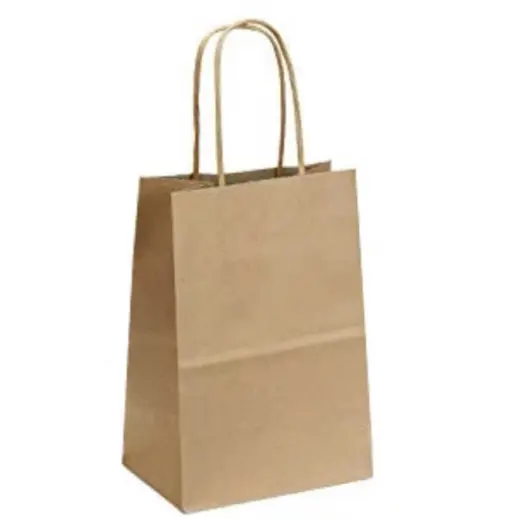 Eco Paper Gift Bag With Twist Handles