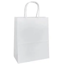 Eco Paper Gift Bag With Twist Handles
