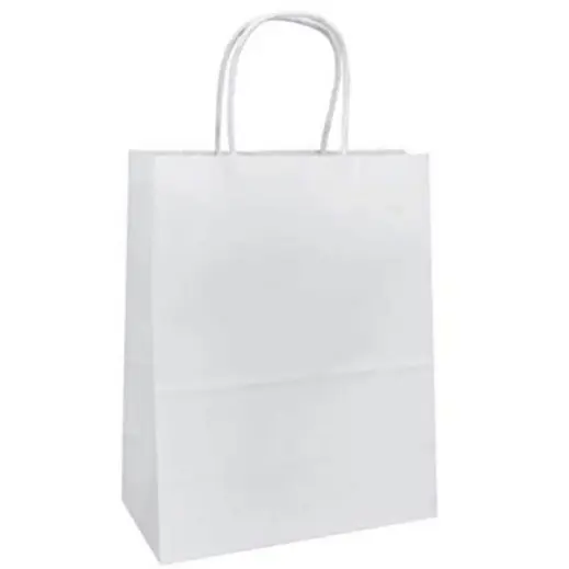 Eco Paper Gift Bag With Twist Handles