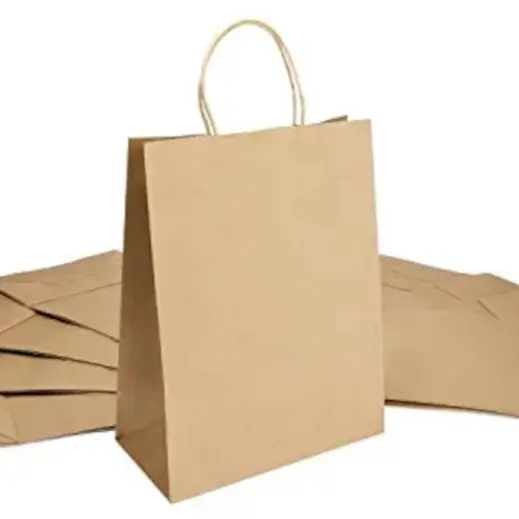 Eco Paper Gift Bag With Twist Handles