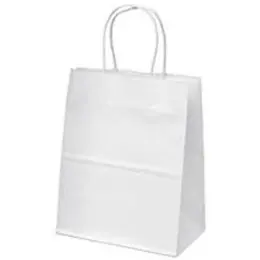 Eco Paper Gift Bag With Twist Handles