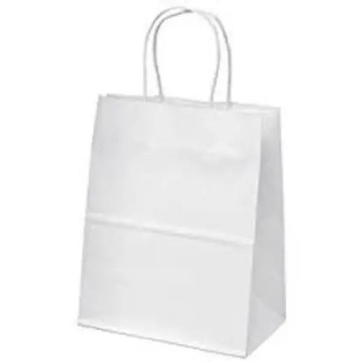 Eco Paper Gift Bag With Twist Handles