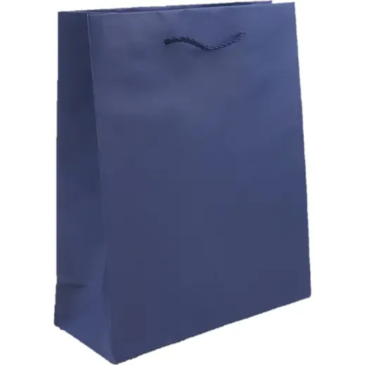 A4 Paper Gift Bag