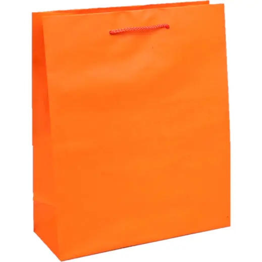 A4 Paper Gift Bag