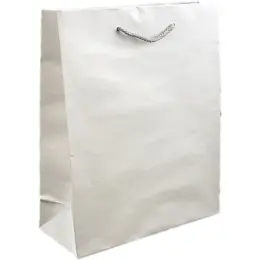 A4 Paper Gift Bag