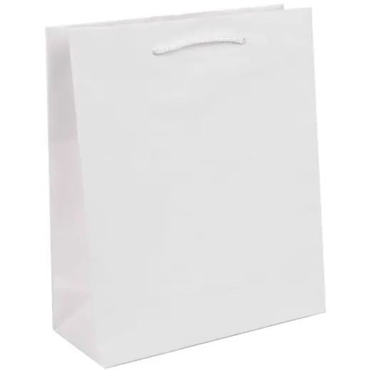 A4 Paper Gift Bag