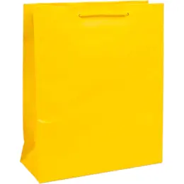 A4 Paper Gift Bag