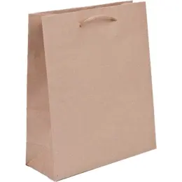 A4 Paper Gift Bag