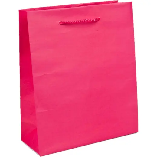 A4 Paper Gift Bag