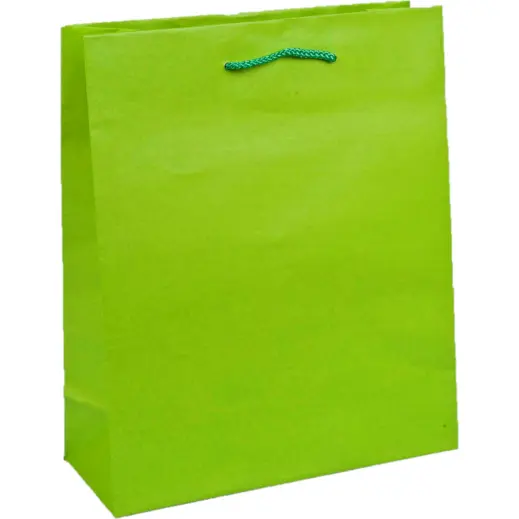 A4 Paper Gift Bag