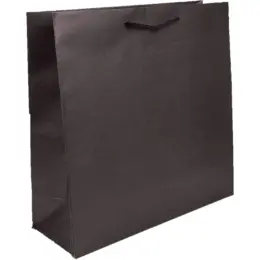 Giant Paper Gift Bag