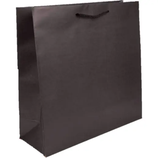 Giant Paper Gift Bag