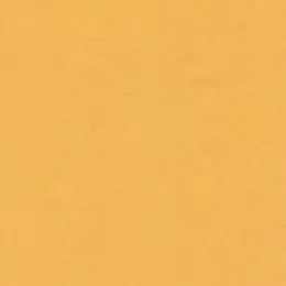 Plain Tissue Paper - 24 Sheets