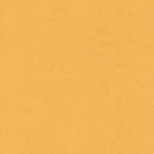 Plain Tissue Paper - 24 Sheets