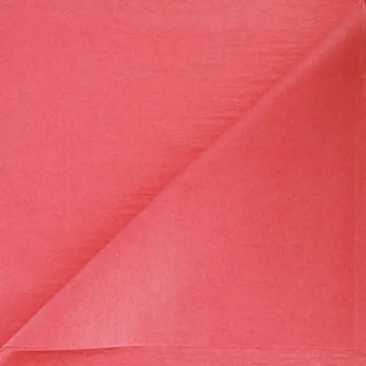 Plain Tissue Paper - 24 Sheets