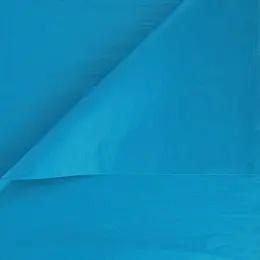 Plain Tissue Paper - 24 Sheets