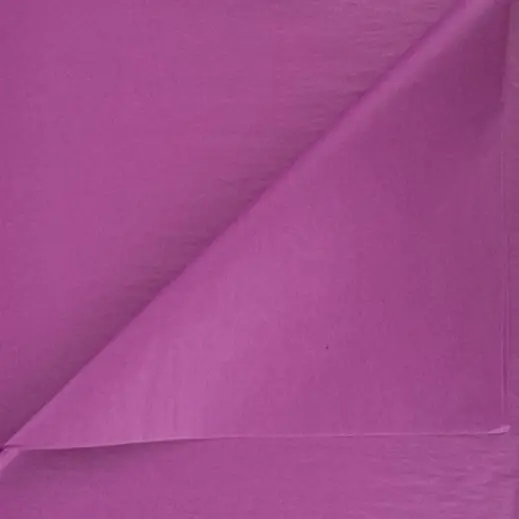 Plain Tissue Paper - 24 Sheets