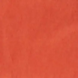 Plain Tissue Paper - 24 Sheets