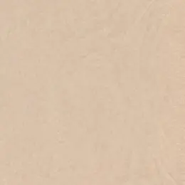 Plain Tissue Paper - 24 Sheets