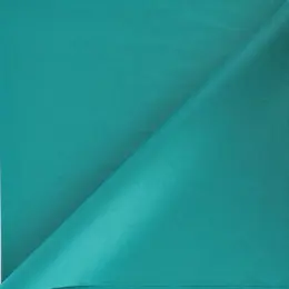 Plain Tissue Paper - 24 Sheets