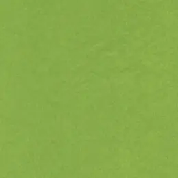 Plain Tissue Paper - 24 Sheets