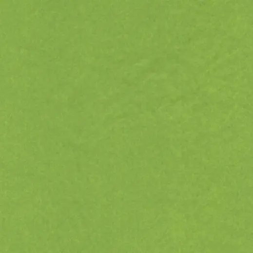 Plain Tissue Paper - 24 Sheets