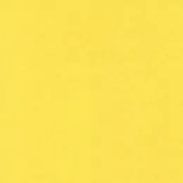 Plain Tissue Paper - 24 Sheets