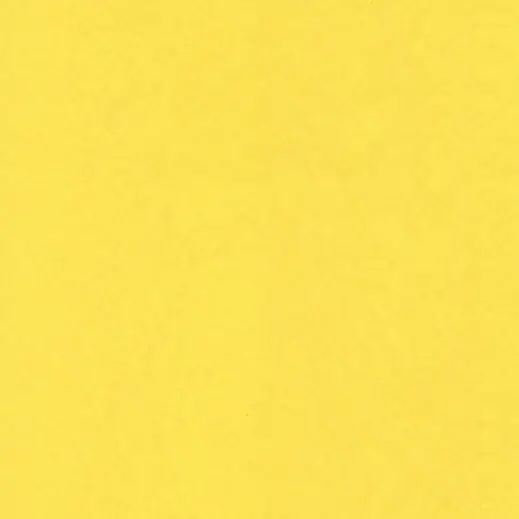Plain Tissue Paper - 24 Sheets