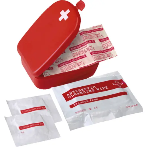 First Aid Kit in Plastic Case