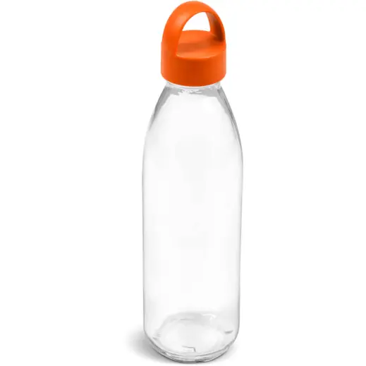 Kooshty Swing Glass Water Bottle