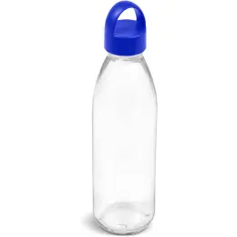 Kooshty Swing Glass Water Bottle