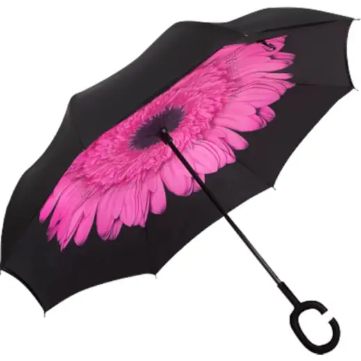 Printed Reversible Umbrella